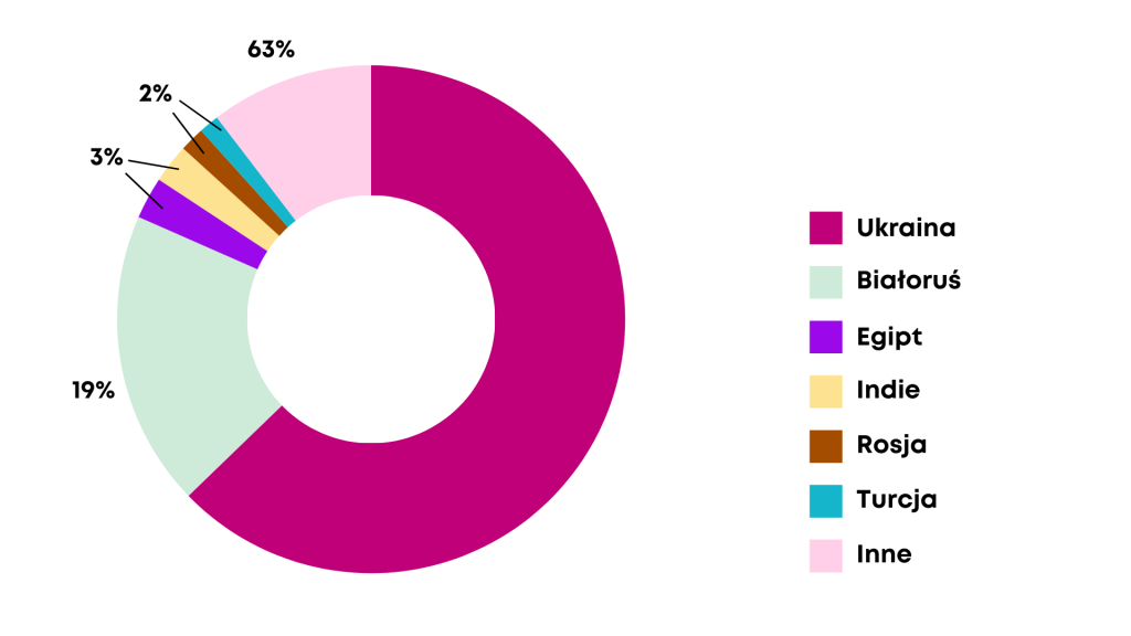 Wykres kołowy przedstawiający procentowy udział poszczególnych narodowości klientów Punktu w roku 2025: Ukraina – 63%, Białoruś – 19%, Egipt – 3%, Indie – 3%, Rosja – 2%, Turcja – 2% oraz inne narodowości – 10%.
